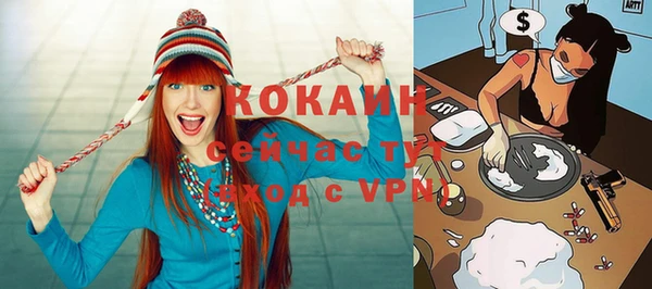 хмурый Шали